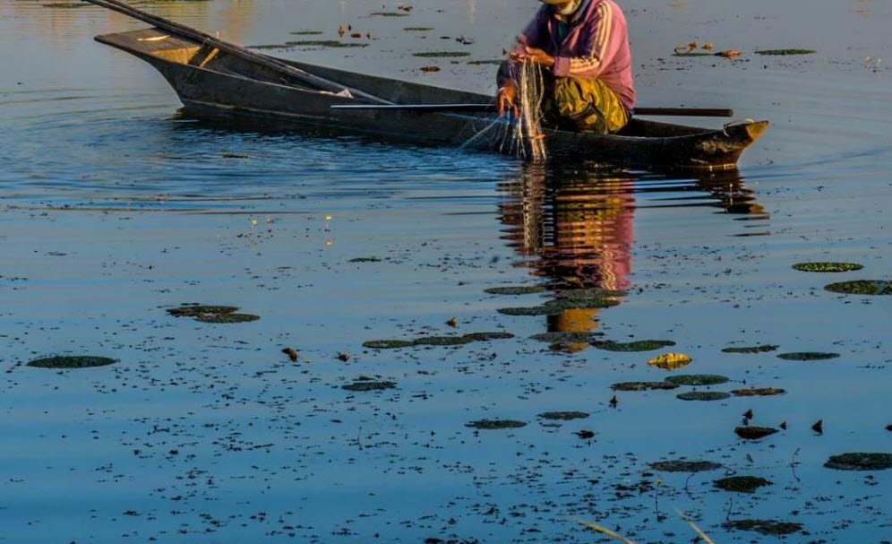 Ikop Pat, Thoubal, Manipur - Vushii.com Ikop Pat, Thoubal, Manipur - Vushii.com